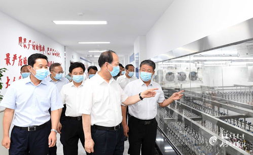 石泰峰深入巴彥淖爾市調研督導 抓實“六穩”“六?！?筑牢發展根基